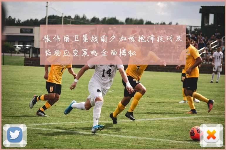 张伟丽卫冕战前夕加练抱摔技巧及临场应变策略全面揭秘