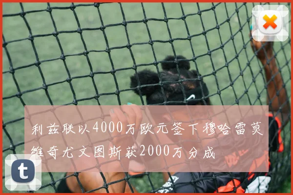 利兹联以4000万欧元签下穆哈雷莫维奇尤文图斯获2000万分成