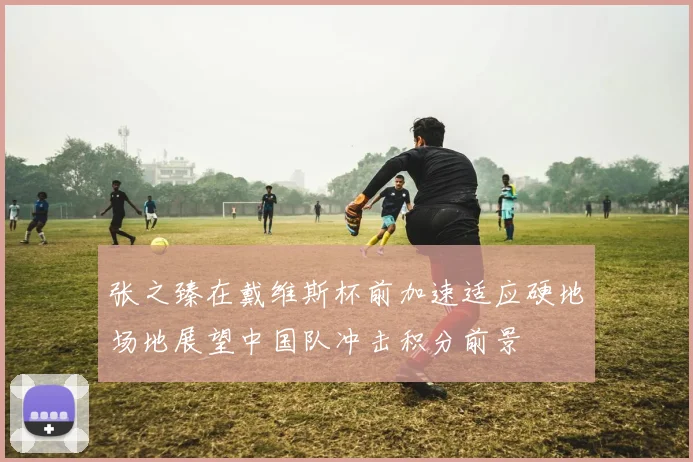 张之臻在戴维斯杯前加速适应硬地场地展望中国队冲击积分前景